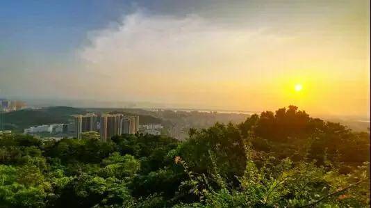 深圳十大免费景点推荐(深圳免费又好玩的12个去处)-图片12
